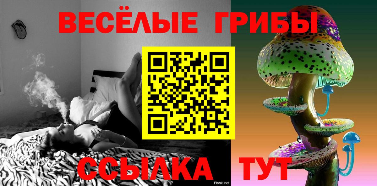 Южно-Сахалинск  Псилоцибиновые грибы мухоморы  Вход с VPN  Псилоцибиновые грибы мицелий 